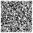 QR code with Professional Work Savers contacts