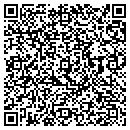 QR code with Public Works contacts