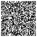 QR code with Blue Water Properties contacts