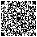 QR code with Barnstormers contacts