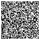 QR code with Camden Falls Gallery contacts