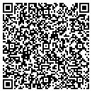 QR code with Pyramid Studios contacts