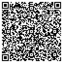 QR code with Premium Dixfield Log contacts