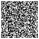 QR code with Precision Auto contacts