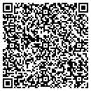QR code with Chamberlain Ssw Farm contacts
