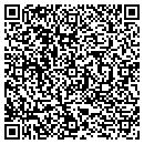 QR code with Blue Rock Industries contacts