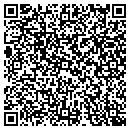 QR code with Cactus Pool Service contacts