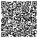 QR code with Lily's contacts