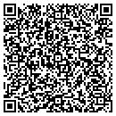 QR code with Psybernetics Inc contacts