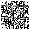 QR code with Cyclone Tavern contacts