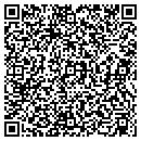 QR code with Cupsuptic Campgrounds contacts
