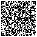 QR code with Moves contacts