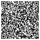 QR code with Public Works contacts