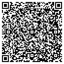 QR code with C & G Carpet Service contacts