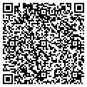QR code with Attic contacts
