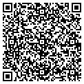 QR code with Shell contacts