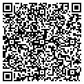 QR code with Vigues contacts