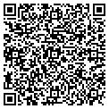 QR code with Visibone contacts