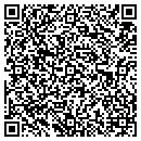 QR code with Precision Access contacts