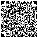 QR code with Puffins Nest contacts