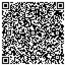 QR code with C V Diagnostics contacts