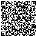 QR code with Avolli contacts