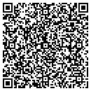QR code with Public Theater contacts
