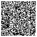 QR code with Bertini contacts