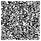 QR code with Punkylu's Painted Mailboxes contacts