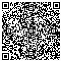 QR code with Shell contacts