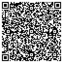 QR code with Public Service contacts