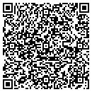 QR code with Proto Design Inc contacts