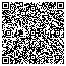 QR code with Precision Tool Co Inc contacts