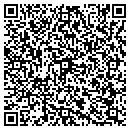 QR code with Professional Computer contacts