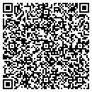 QR code with Protection Systems contacts