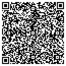 QR code with Premier Consulting contacts