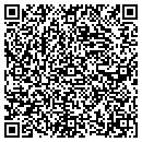 QR code with Punctuality Plus contacts