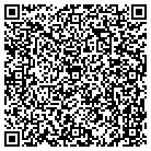QR code with CBI Design Professionals contacts