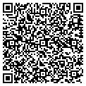 QR code with Stncom contacts
