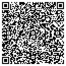 QR code with Carls Signs & More contacts