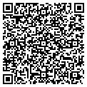 QR code with Yogi's contacts