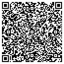 QR code with Public Lighting contacts
