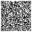 QR code with Prism Consulting Inc contacts