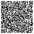 QR code with Cinzia contacts
