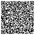QR code with Sitgo contacts