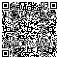 QR code with AIG contacts