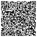 QR code with Public Storage contacts