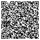 QR code with Pro-Net Solutions contacts