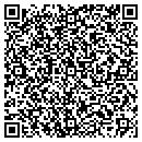 QR code with Precision Electronics contacts