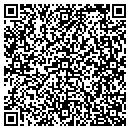 QR code with Cybertech Solutions contacts